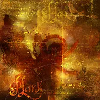 ���ű���-������