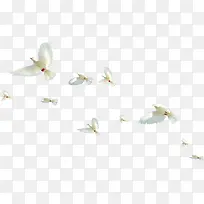 ��ɫΨ������׸�-������