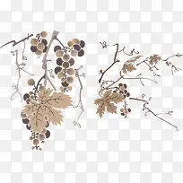 一款泼墨葡萄树-空若网 一款泼墨葡萄树-空若网