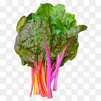 新鲜蔬菜免抠素材-空若网 新鲜蔬菜免抠素材-空若网