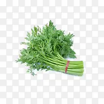 新鲜的茼蒿素材图片-空若网 新鲜的茼蒿素材图片-空若网