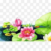 ��ͨ�ֻ���ɫ��Ҷ�ɻ�����-������