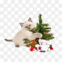 Ê¥µ®½Ú¿ìÀ´-¿ÕÈôÍø Ê¥µ®½Ú¿ìÀ´-¿ÕÈôÍø