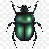 ī��ɫ�Ľ����-������