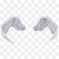 手绘白色翅膀-空若网 手绘白色翅膀-空若网