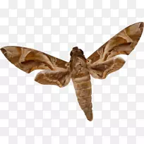 �������ͼ��-��-������