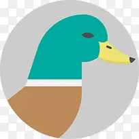鸭图标-空若网 鸭图标-空若网