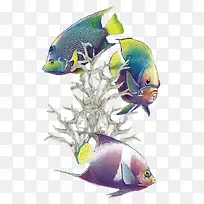 海底生物素材-空若网 海底生物素材-空若网