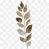 ͸������ˮ�ʻ��仨��ֲ���ز�-������