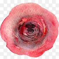 ͸������ˮ�ʻ��仨��ֲ���ز�-������