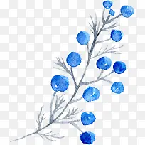 透明背景水彩花朵花卉植物素材-空若网 透明背景水彩花朵花卉植物素材-空若网