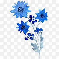 ͸������ˮ�ʻ��仨��ֲ���ز�-������