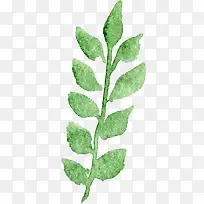 透明背景水彩花朵花卉植物素材-空若网 透明背景水彩花朵花卉植物素材-空若网