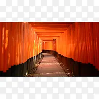 ��ɫ���Ⱥ�������-������