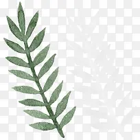 小清新手绘树叶插画素材-空若网 小清新手绘树叶插画素材-空若网