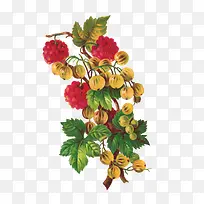 �ֻ�ˮ��-������