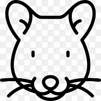 ����ͼ��-������