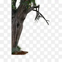 ��ľ �̲� ��Ҷpng�ز�-������