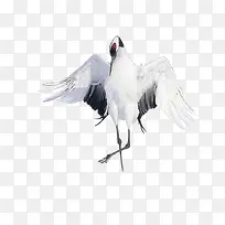 µ¤¶¥º×ÕÅ¿ª³á°òµÄµ¤¶¥º×-¿ÕÈôÍø µ¤¶¥º×ÕÅ¿ª³á°òµÄµ¤¶¥º×-¿ÕÈôÍø