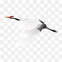 矢量插画仙鹤手绘素材-空若网 矢量插画仙鹤手绘素材-空若网