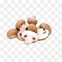 �л��߲��㹽-������