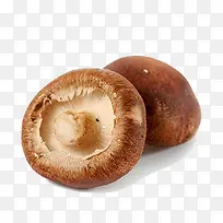 有机香菇-空若网 有机香菇-空若网