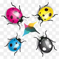 ��ͨ�׳�ͼ��-������