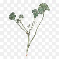 �ֻ����-������