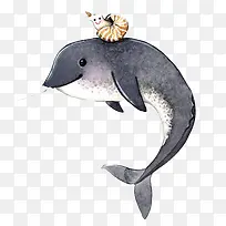 海豚手绘色彩图片-空若网 海豚手绘色彩图片-空若网