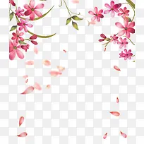 花背景素材-空若网 花背景素材-空若网