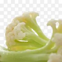 ÓлúÊ߲˲˻¨-¿ÕÈôÍø ÓлúÊ߲˲˻¨-¿ÕÈôÍø