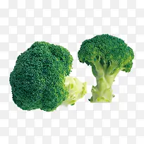 �߲˲˻�-������