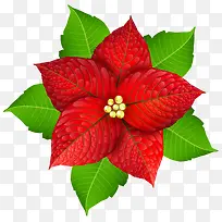 ʥ���ں컨��Ҷ-������