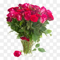 ²£Á§»¨Æ¿ÀïµÄõ¹åͼƬ[-¿ÕÈôÍø ²£Á§»¨Æ¿ÀïµÄõ¹åͼƬ[-¿ÕÈôÍø