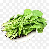 菠菜-空若网 菠菜-空若网