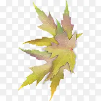 ʸ����ë�ز�-������