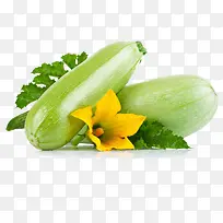 西葫芦-空若网 西葫芦-空若网