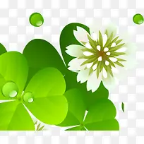 白色卡通花朵三叶草-空若网 白色卡通花朵三叶草-空若网