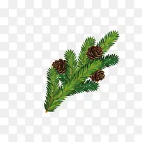 ʥ������Ҷ����-������