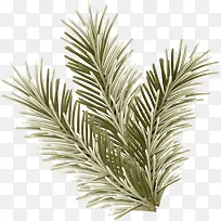 小清新绿色小草-空若网 小清新绿色小草-空若网