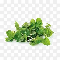 绿色食品-空若网 绿色食品-空若网