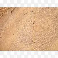 圆形树纹背景素材-空若网 圆形树纹背景素材-空若网