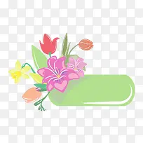 ��ͨ��ɫ��ť-������