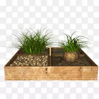 ���贲��̳-������