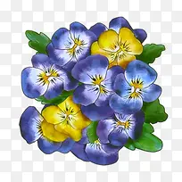 手绘三色堇免抠素材-空若网 手绘三色堇免抠素材-空若网