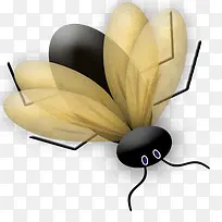小昆虫苍蝇可爱-空若网 小昆虫苍蝇可爱-空若网