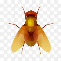 手绘黄红色可爱苍蝇-空若网 手绘黄红色可爱苍蝇-空若网