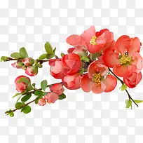 ʢ���Ļ���-������