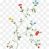 树枝上的花朵-空若网 树枝上的花朵-空若网