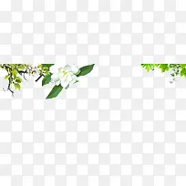 花朵绿叶装饰-空若网 花朵绿叶装饰-空若网